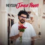 میثام – جنگ بعدی
